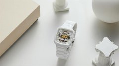 雷达机械表机芯生锈应该咋处理